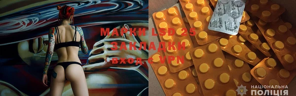 ПСИЛОЦИБИНОВЫЕ ГРИБЫ Арсеньев