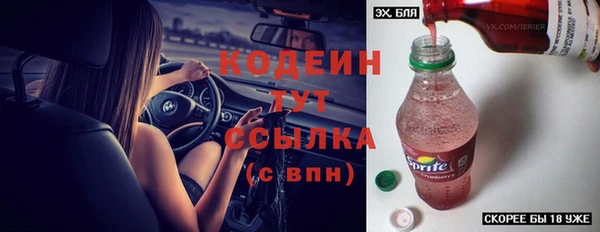 ПСИЛОЦИБИНОВЫЕ ГРИБЫ Арсеньев