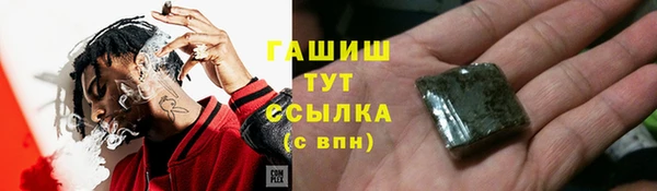 ПСИЛОЦИБИНОВЫЕ ГРИБЫ Арсеньев