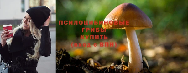 ПСИЛОЦИБИНОВЫЕ ГРИБЫ Арсеньев
