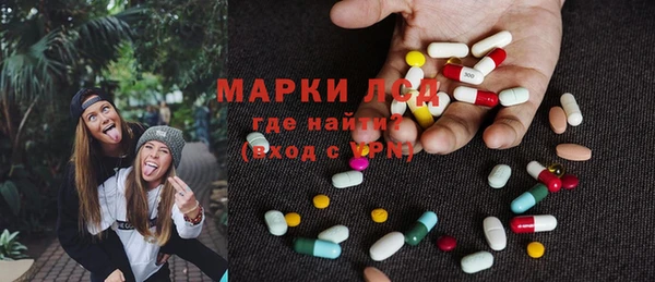 ПСИЛОЦИБИНОВЫЕ ГРИБЫ Арсеньев