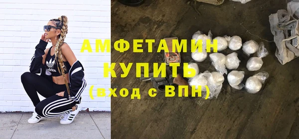 ПСИЛОЦИБИНОВЫЕ ГРИБЫ Арсеньев
